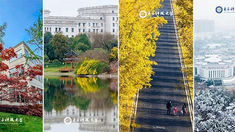 揭秘电子科技公司生产厂家直供定制流程